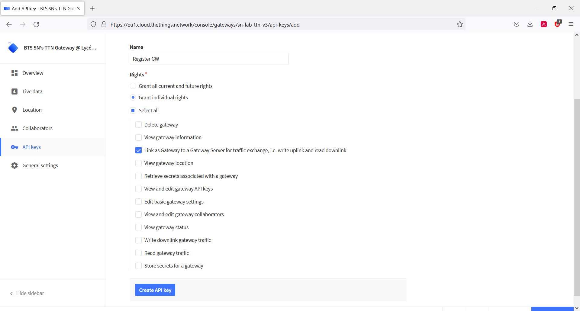 ttn register api key